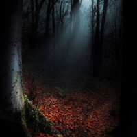 Lesen LED Bilder Bewertungen